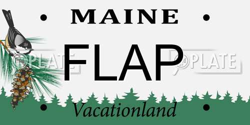 FLAP Maine License Plate
