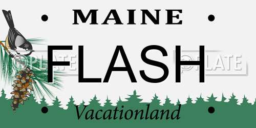 FLASH Maine License Plate