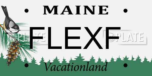 FLEXF Maine License Plate