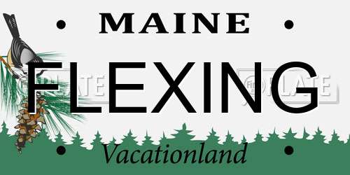 FLEXING Maine License Plate