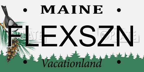 FLEXSZN Maine License Plate