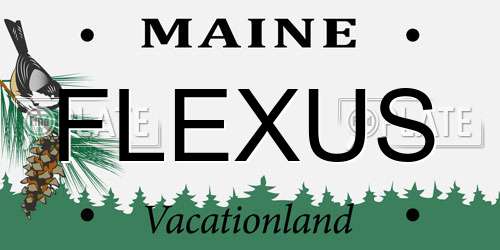 FLEXUS Maine License Plate