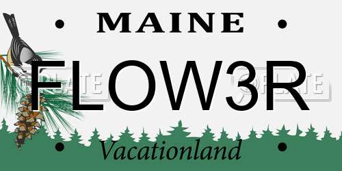 FLOW3R Maine License Plate
