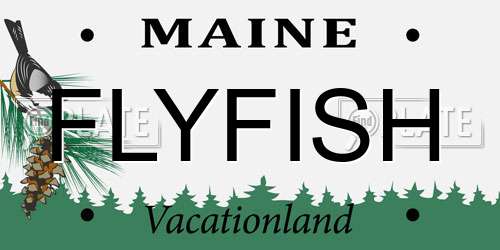FLYFISH Maine License Plate