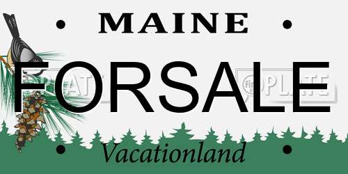 FORSALE Maine License Plate
