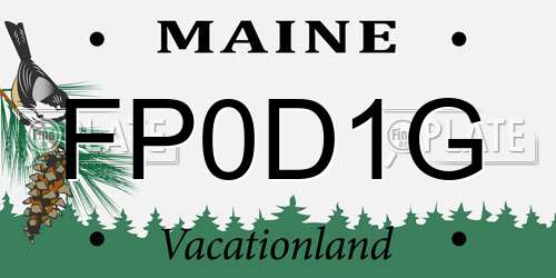 FP0D1G Maine License Plate