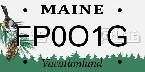 FP0O1G Maine License Plate