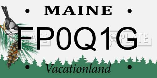 FP0Q1G Maine License Plate