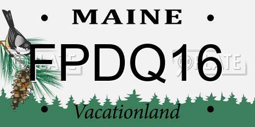 FPDQ16 Maine License Plate