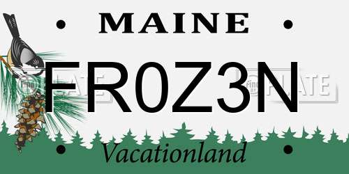 FR0Z3N Maine License Plate