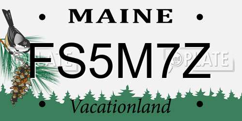 FS5M7Z Maine License Plate
