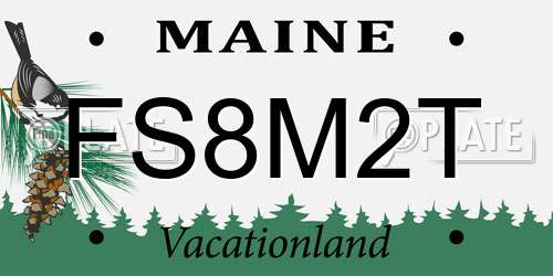 FS8M2T Maine License Plate