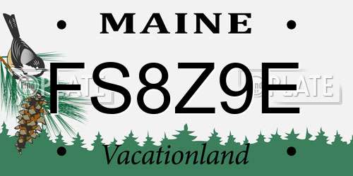 FS8Z9E Maine License Plate