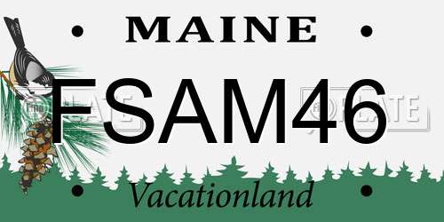 FSAM46 Maine License Plate