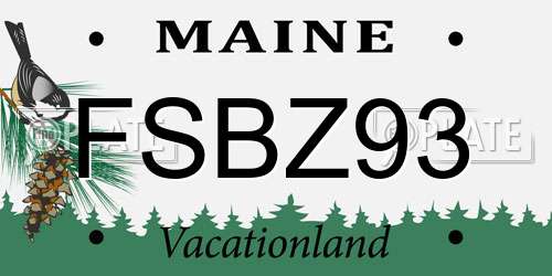 FSBZ93 Maine License Plate