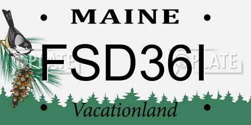 FSD36I Maine License Plate