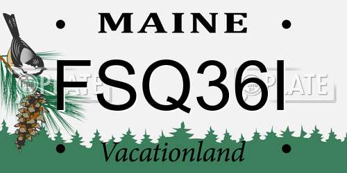 FSQ36I Maine License Plate