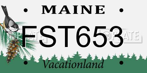 FST653 Maine License Plate