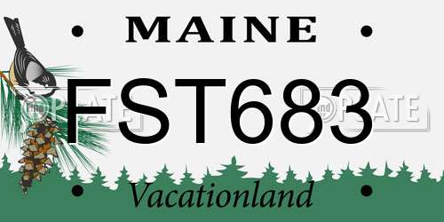 FST683 Maine License Plate
