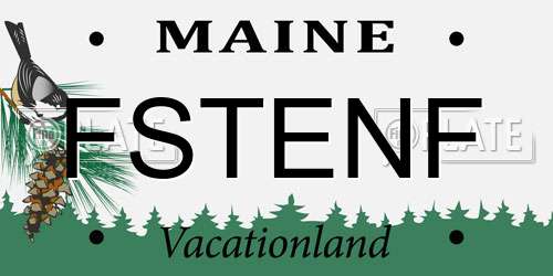 FSTENF Maine License Plate