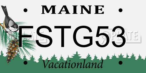 FSTG53 Maine License Plate