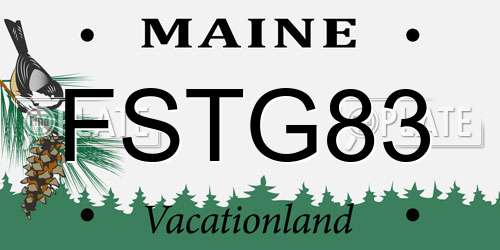 FSTG83 Maine License Plate