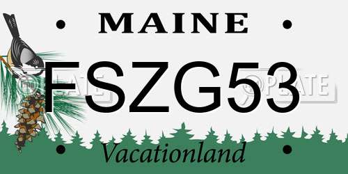 FSZG53 Maine License Plate