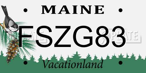 FSZG83 Maine License Plate