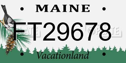 FT29678 Maine License Plate