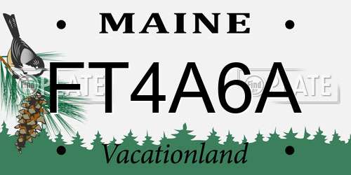 FT4A6A Maine License Plate