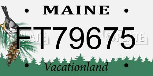 FT79675 Maine License Plate