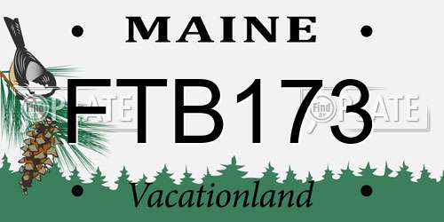 FTB173 Maine License Plate