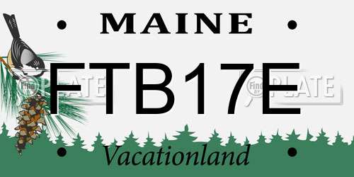 FTB17E Maine License Plate
