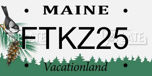 FTKZ25 Maine License Plate