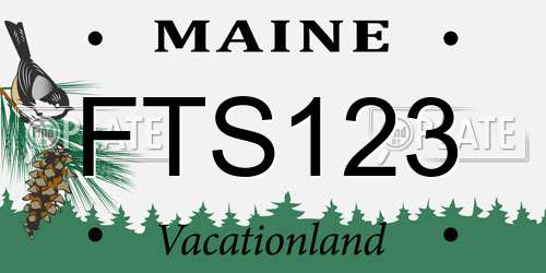 FTS123 Maine License Plate