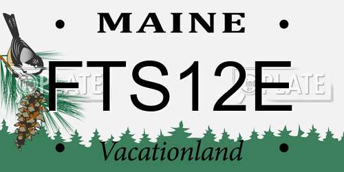 FTS12E Maine License Plate