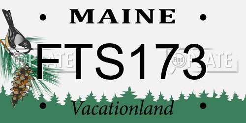 FTS173 Maine License Plate
