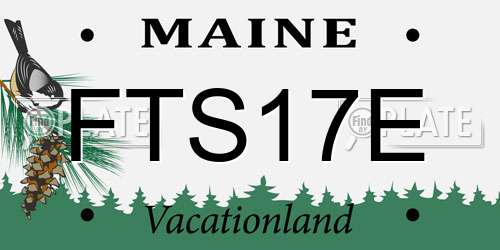 FTS17E Maine License Plate