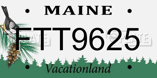 FTT9625 Maine License Plate
