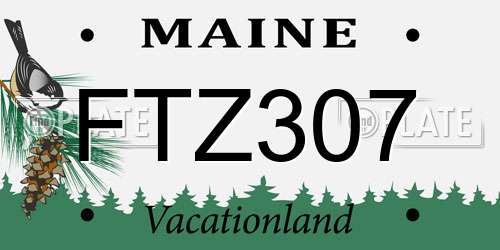 FTZ307 Maine License Plate