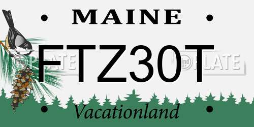 FTZ30T Maine License Plate