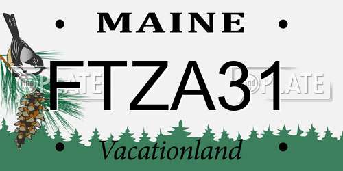 FTZA31 Maine License Plate