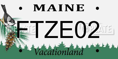 FTZE02 Maine License Plate