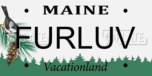 FURLUV Maine License Plate