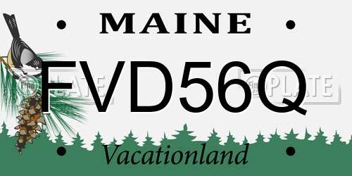 FVD56Q Maine License Plate