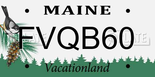 FVQB60 Maine License Plate