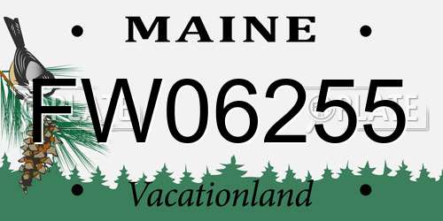 FW06255 Maine License Plate