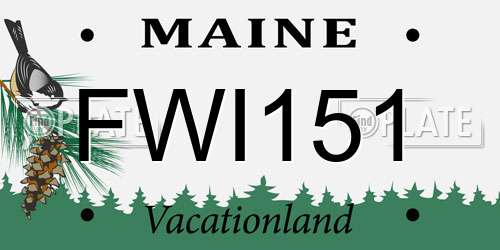 FWI151 Maine License Plate