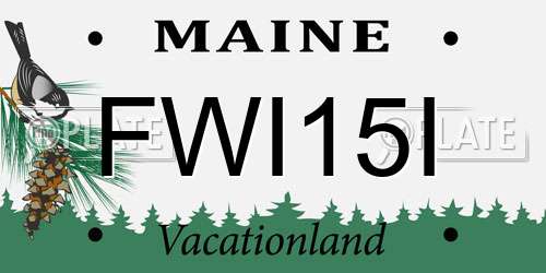 FWI15I Maine License Plate