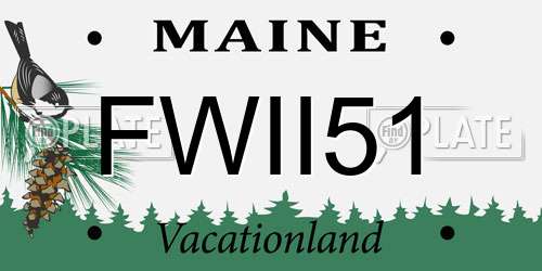 FWII51 Maine License Plate